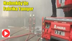 Hadımköy'de Kimya Fabrikasında Patlama Sonrası Yangın Çıktı