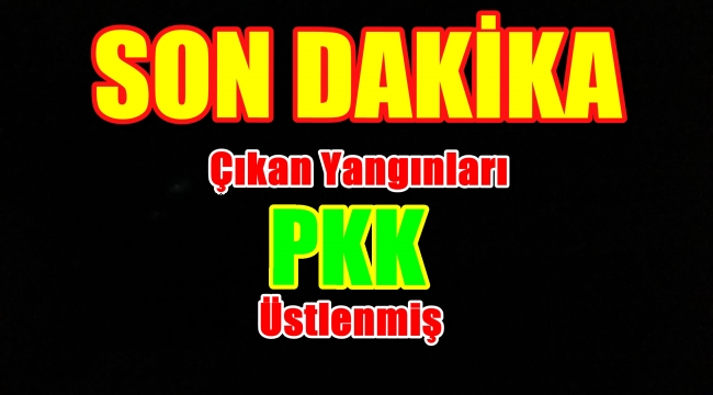 Karadeniz Bölgesindeki Yangınları PKK Üstlendi