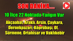 Trabzon Yanıyor 10 İlçede Yangın Var 