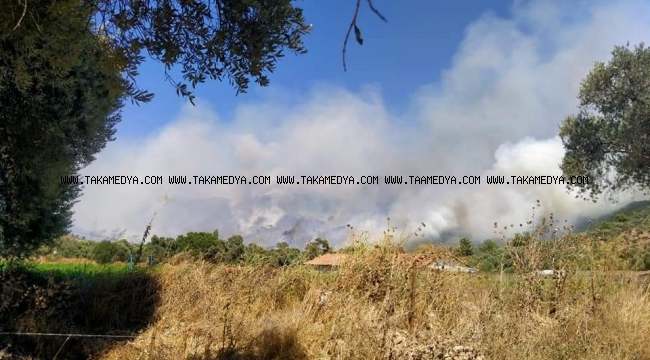 Milas'ta Ormanlık Alanda Yangın çıktı