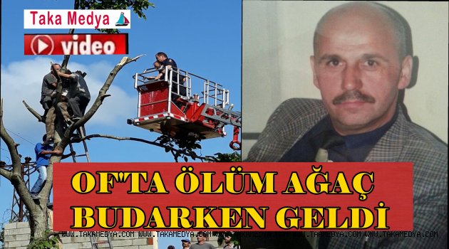 Of'ta Mustafa Nalçı Ağaç Budarken Hayatını Kaybetti
