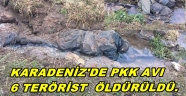 ORDU'DA PKK AVI 6 TERÖRİST ÖLÜ ELE GECİRİLDİ