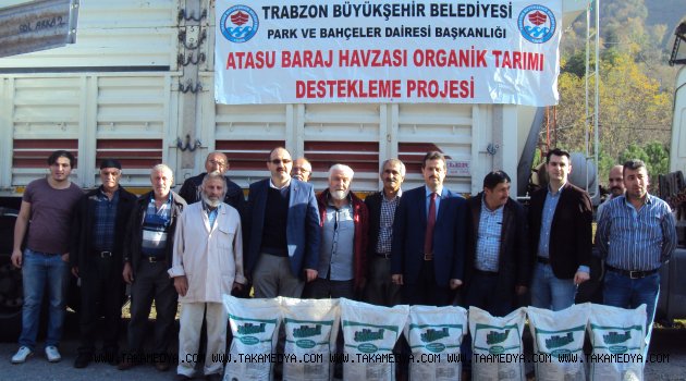 Trabzon’da organik tarım meyvelerini vermeye başladı