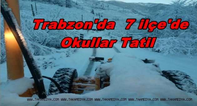 Trabzon'da 7 İlçede Eğitime Kar Tatili