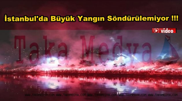 Trabzonspor Taraftarı 51.Yılı Böyle Kutladı